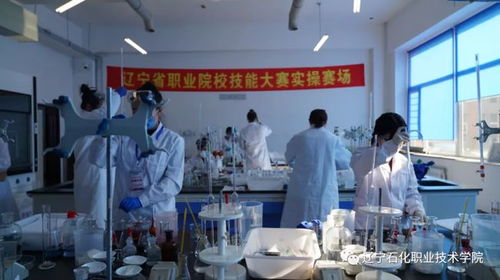 遼寧石化職業(yè)技術(shù)學(xué)院計(jì)算機(jī)大賽 以賽促學(xué)、以賽促教、以賽促改，驅(qū)動信息技術(shù)人才培養(yǎng)創(chuàng)新